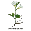 Hilfe zur Selbsthilfe und Hilfsmittel bei ME&amp;CFS